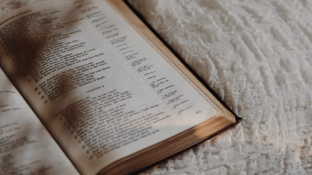 https://turgutavukatlik.com/wp-content/uploads/2021/04/jessica-delp-kEI8-nUtI8o-unsplash-640x360.jpg